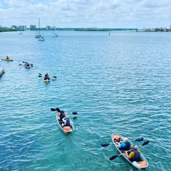 Clearwater: Guided Clear Kayaking Tour - Equipment and Safety