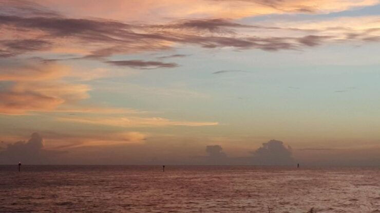 Clearwater Sunset Celebration Cruise - Activity Details