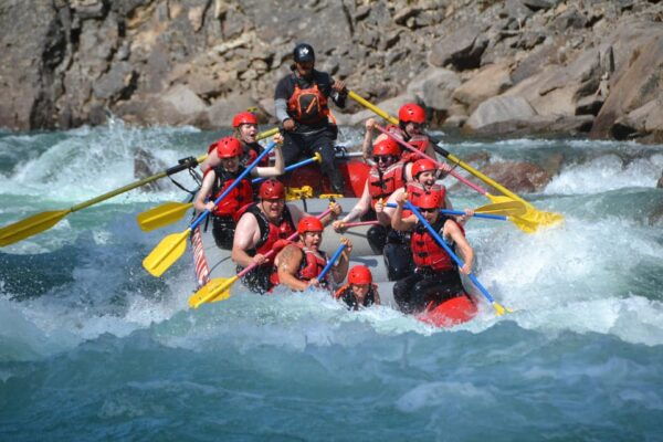Clearwater: Whitewater Rafting (3.5 Hour) - Customer Feedback