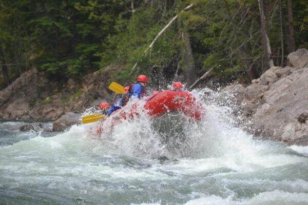 Clearwater: Whitewater Rafting (3.5 Hour) - What to Expect