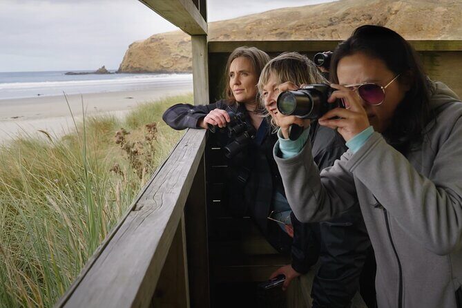 Clearwater Wildlife Tours (small group 10max) Otago Peninsula - Pricing and Value