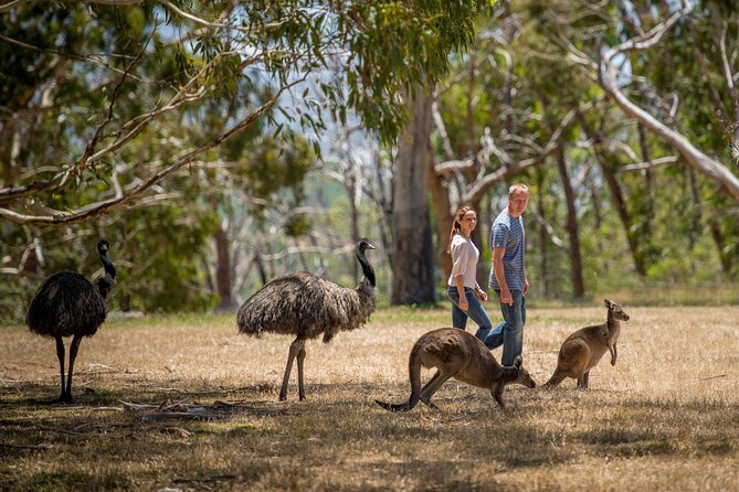 Cleland Hike and Wildlife Day Tour - Tour Details
