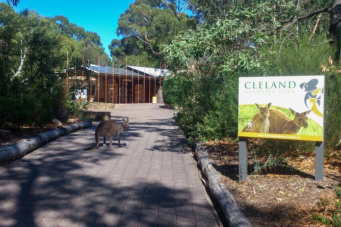 Cleland Hike and Wildlife Day Tour - Traveler Reviews