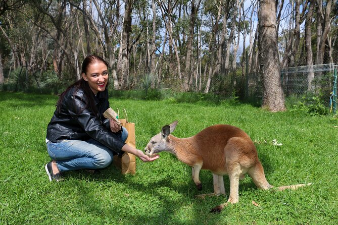 Cleland Wildlife Park Experience - From Adelaide Including Mt Lofty Summit - Pickup Options and Timings