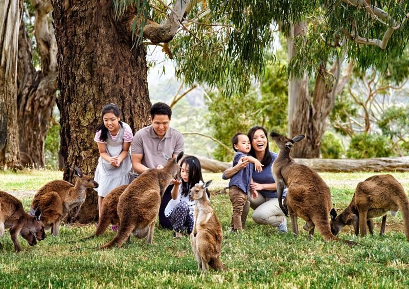 Cleland Wildlife Park Self Guided Tour from Adelaide - At a glance
