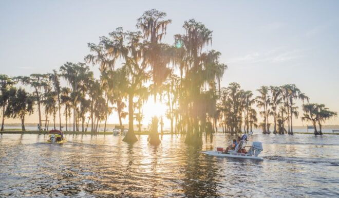 Clermont: Chain of Lakes Self-Driving Catboat Tour - Additional Details