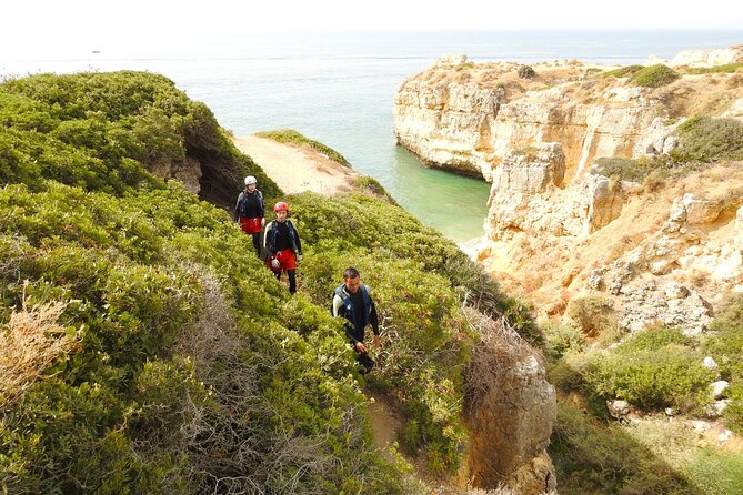 CLIFF JUMPING Tour - Coasteering in Albufeira - Additional Information