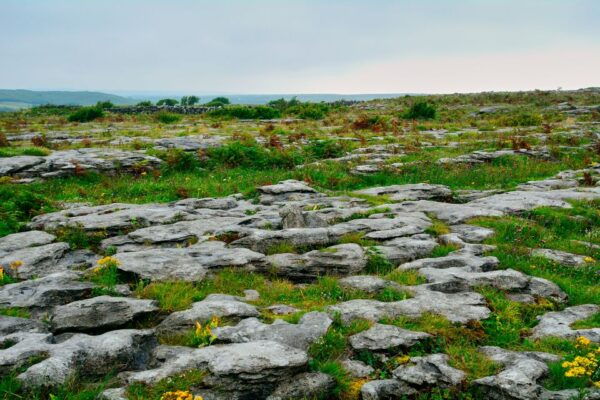 Cliffs of Moher and Blarney 2-Day Tour From Dublin - Common Questions