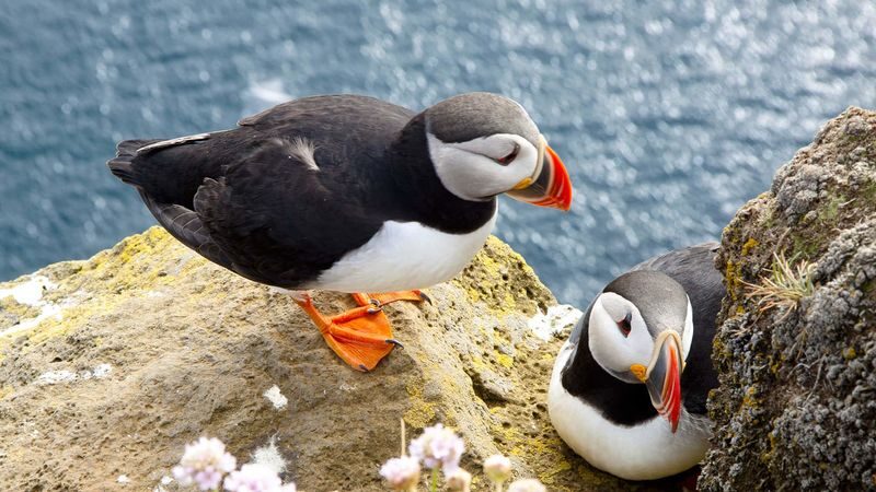 Cliffs of Moher and Burren Day Trip, Including Dunguaire Castle, Ail - Dunguaire Castle: a short stop by Galway Bay