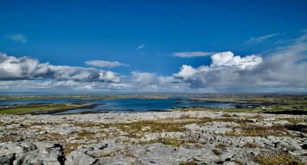 Cliffs of Moher, Burren, Bunratty Private Chauffeur Tour - Included in Your Tour