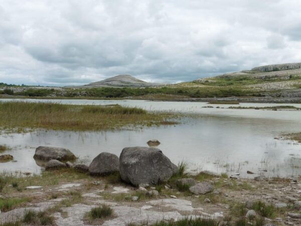 Cliffs of Moher, Burren, Bunratty Private Chauffeur Tour - Getting to the Starting Point