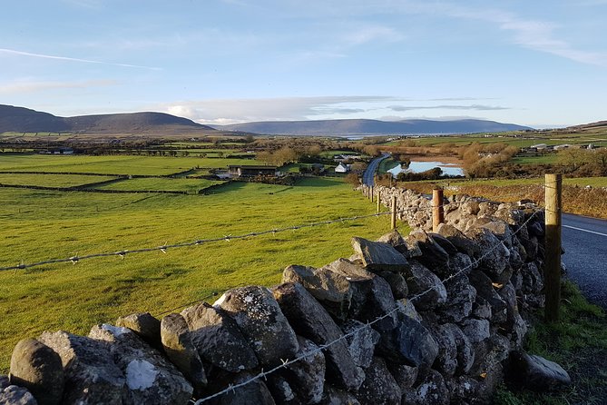 Cliffs of Moher & Burren Tour - 2 Hour Stop at Cliffs of Moher - Positive Feedback