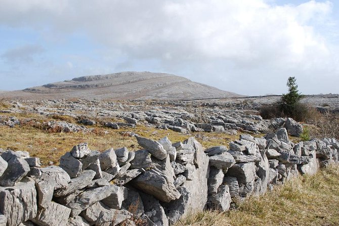 Cliffs of Moher Day Tour From Cork: Including the Wild Altanic Way - Traveler Reviews