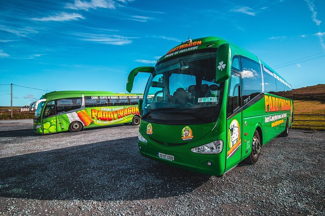 Cliffs of Moher Day Tour From Limerick: Including the Wild Altanic Way - Customer Service and Recommendations