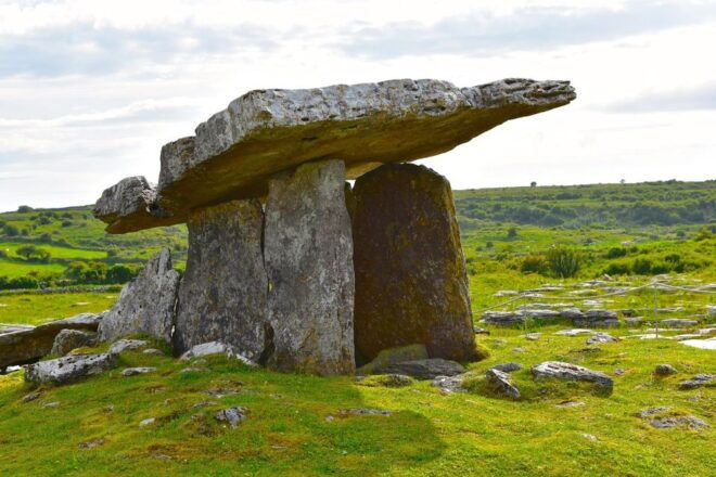 Cliffs of Moher Private Day Tour - Caherconnell Stone Fort and Sheepdog Demonstrations