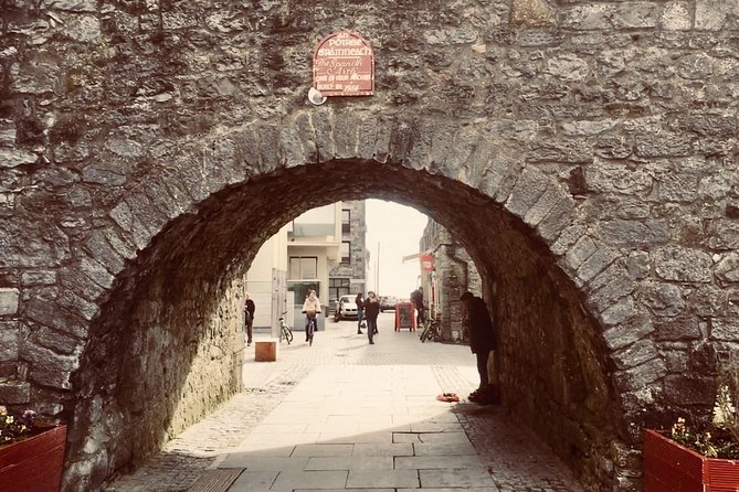 Cliffs Of Moher Tour in English - Tour Reviews