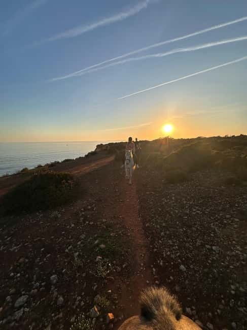 Cliffside Horseback Riding in the Algarve - Who Will Love This Tour?