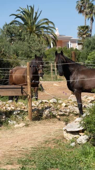 Cliffside Horseback Riding in the Algarve - The Sum Up
