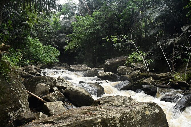 Climb Kilimanjaro - Lemosho Route 7 Day Climb - Itinerary Details