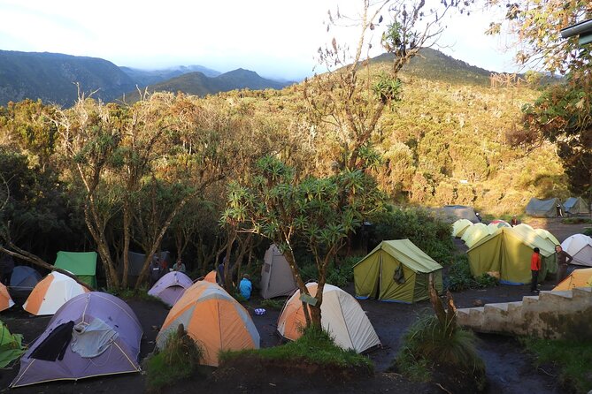 Climb Kilimanjaro - Lemosho Route 7 Day Climb - Safety Precautions
