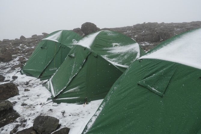 Climb Kilimanjaro - Lemosho Route 7 Day Climb - Summit Day Experience