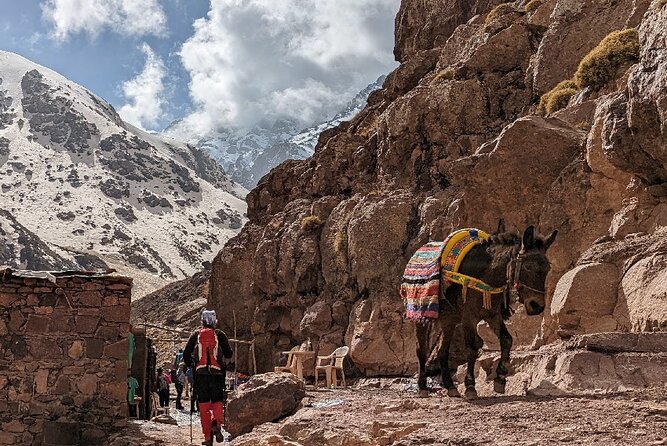 Climb Mount Toubkal Dinner In Agafay Desert - Meeting and Pickup