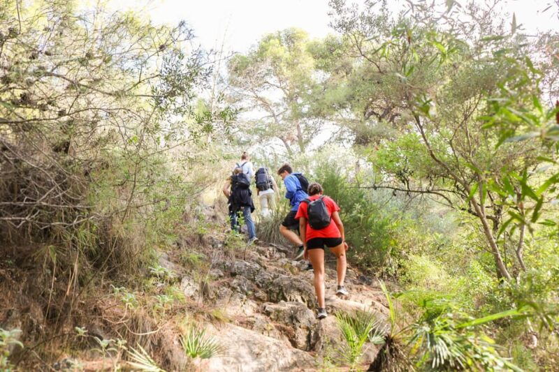 Climb the La Concha: Guided Private Hiking Trip - Good To Know