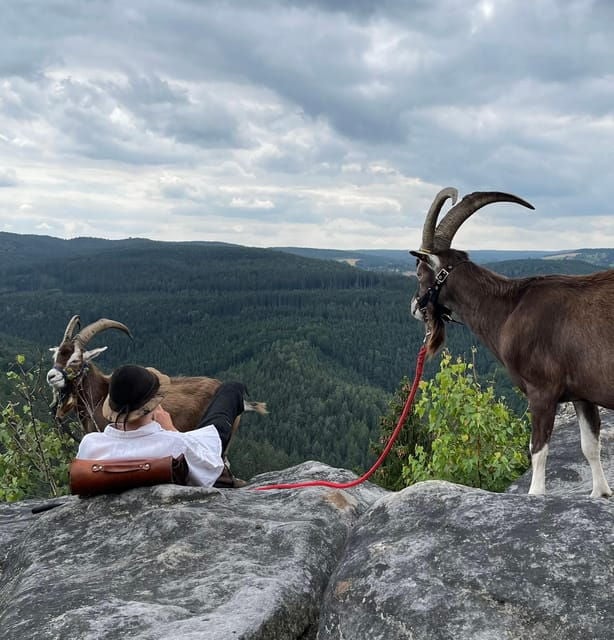 Climb the Mountains Together With Goats - Meet the Thuringian Forest Goats