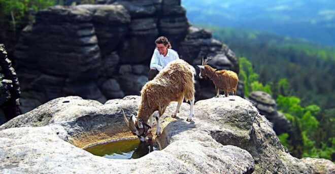 Climb the Mountains Together With Goats - Scenic Views Along the Trail