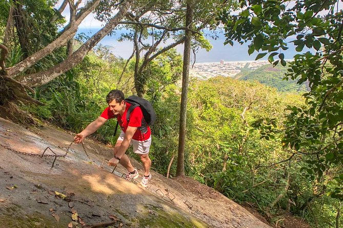 Climb to the Top of Pedra Da Gavea - Highlights of the Hike