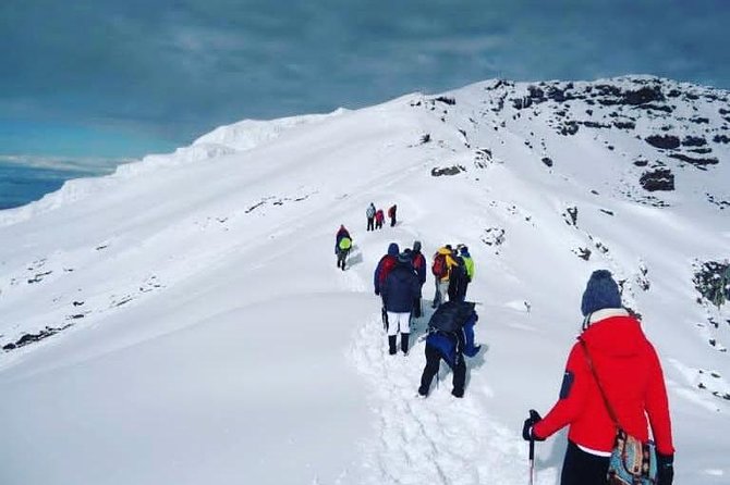 Climbing Kilimanjaro via Machame Route 7 Days (Most Famous and Adventurous) - Whats Included