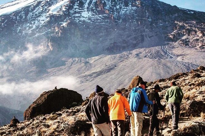 Climbing Kilimanjaro via Machame Route 7 Days (Most Famous and Adventurous) - Reviews and Ratings