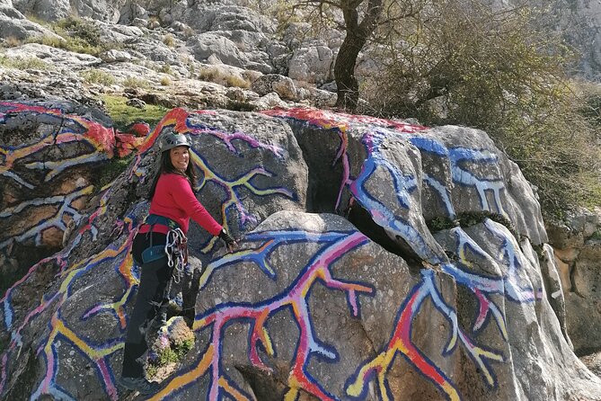 Climbing the John Hogbin via Ferrata With Lunch - Activity Overview and Details