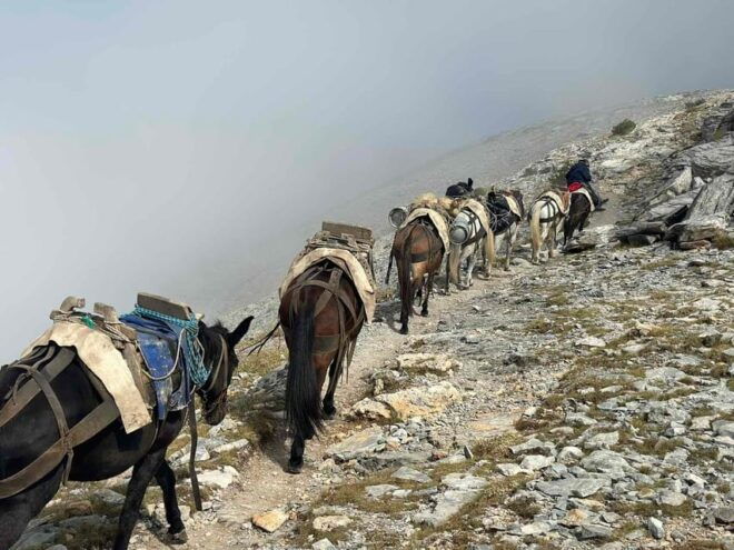 CLIMBING TO THE SUMMIT OF MOUNT OLYMPUS - Exclusions and Health Restrictions