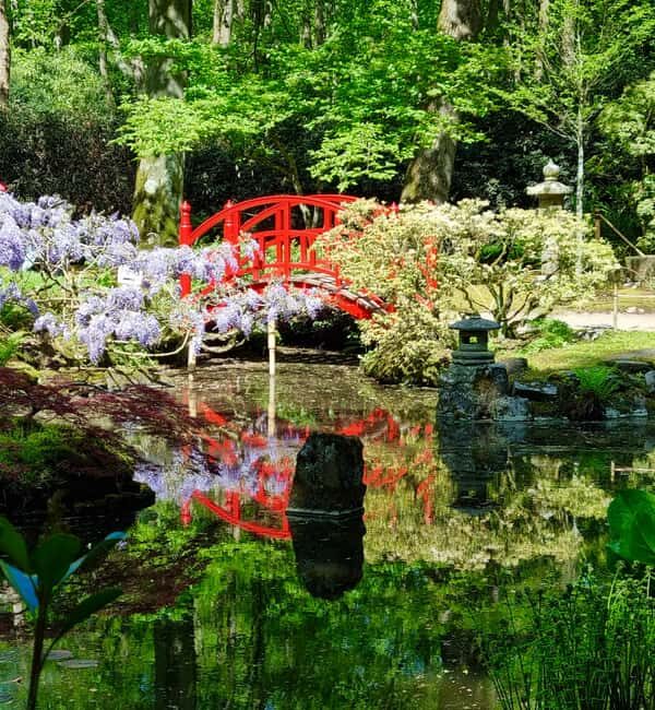 Clingendael: Japanse tuin - Discovering Clingendael: A Deep Dive