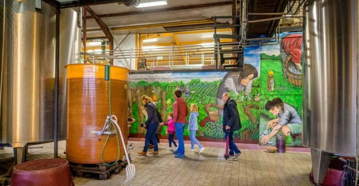 Clos Des Quarterons: Chai Doeuvres Wine & Street Art - Key Points