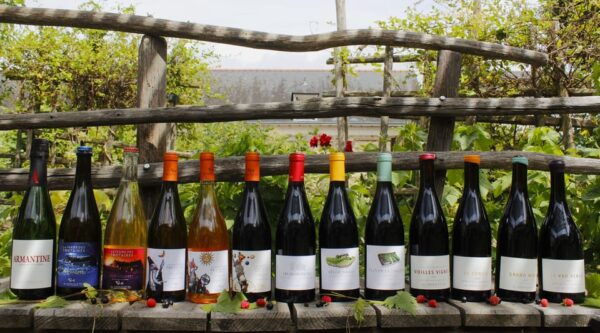 Clos Des Quarterons: Chai Doeuvres Wine & Street Art - Cancellation Policy Details