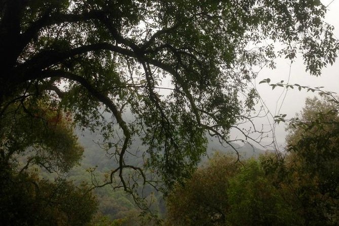 Cloud Forest Hiking - Gear and Packing Essentials