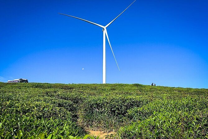 Cloud Hunting and The Glow of Dawn Tour in Da Lat - The Itinerary in Detail