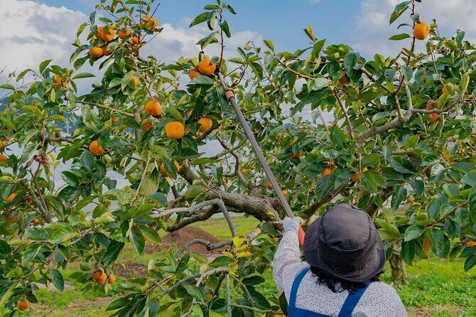 Cloud Hunting and The Glow of Dawn Tour in Da Lat - FAQs