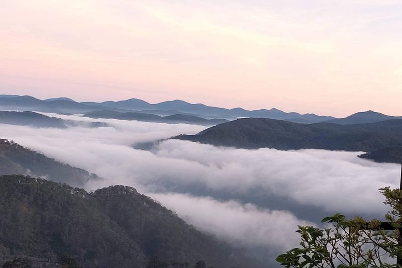 Cloud Hunting and The Glow of Dawn Tour in Da Lat - Cau Dat Panorama: clouds, sunrise, and breakfast