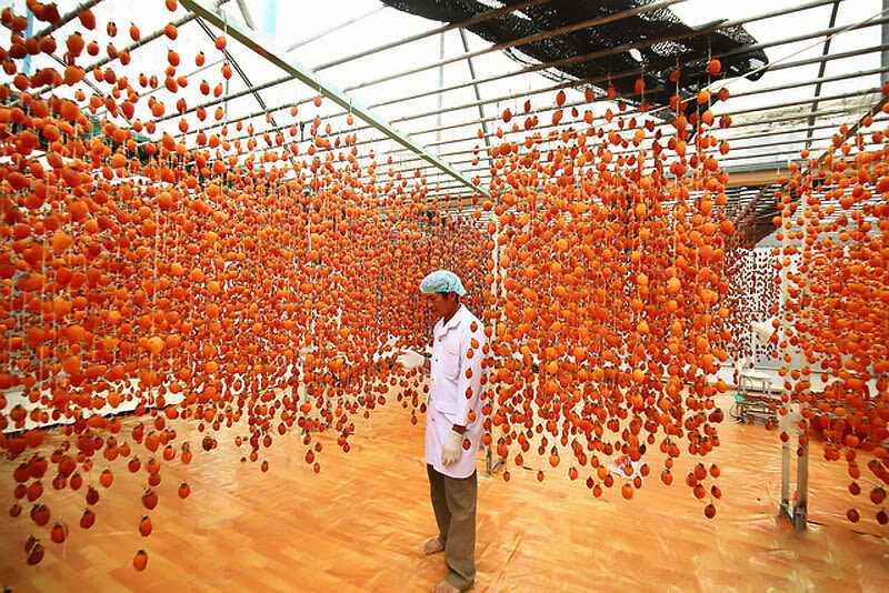 Cloud Hunting and The Glow of Dawn Tour in Da Lat - Strawberries and the wind-dried persimmon stop