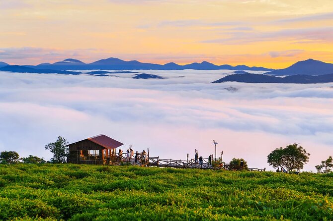 Cloud Hunting - Experience Dalat Special Products - Inclusions and Exclusions