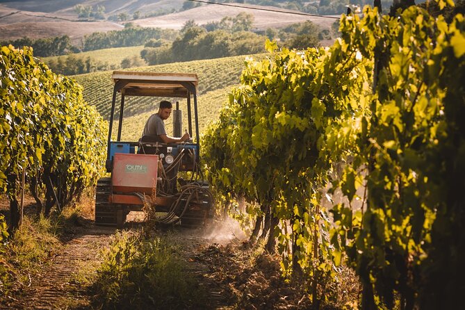 Club Brunello Tasting Experience - Traveler Photos