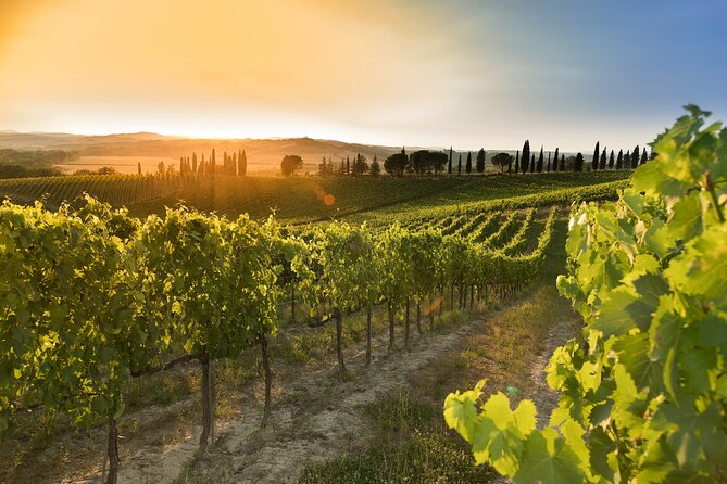 Club Brunello Tasting Experience - The Sum Up