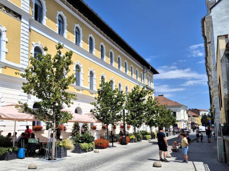 Cluj Insight: Walking tour with a travel writer & historian - Firefighters Tower Visit