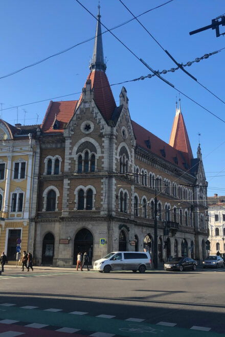 Cluj-Napoca: Heritage and Art Walking Guided Tour - Guided Experience