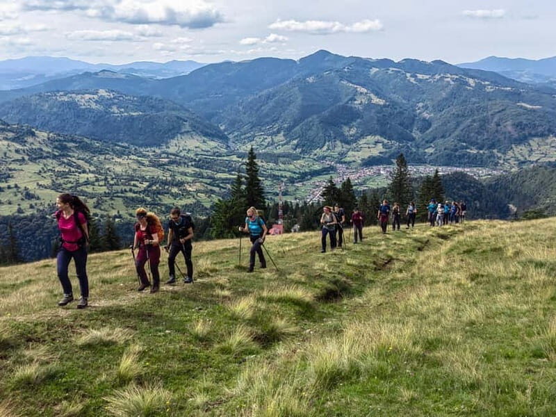 Cluj Napoca: Rodnei Mountains Full-Day Guided Hiking Tour - A Closer Look at the Tour Experience