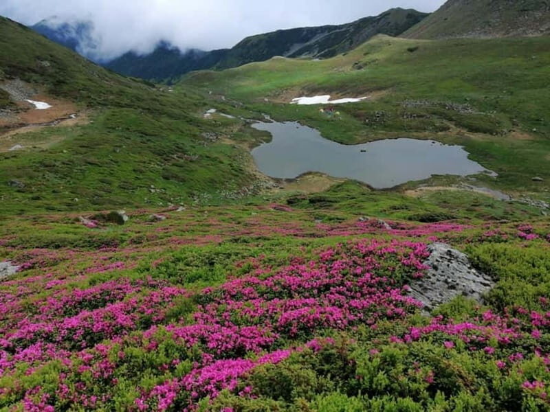 Cluj Napoca: Rodnei Mountains Full-Day Guided Hiking Tour - Frequently Asked Questions