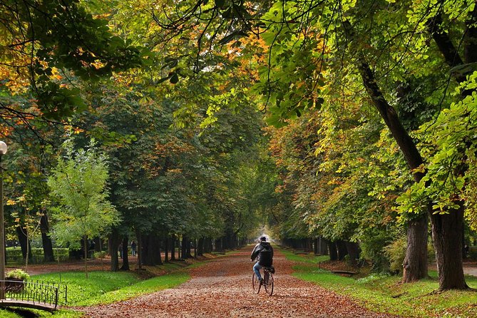 Cluj-Napoca Walking City Tour - Tour Details